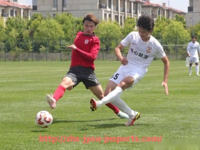 jiuyou九游娱乐-世俱杯对全球足球文化与社会影响力研究报告