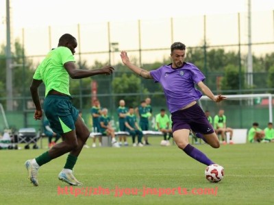 jiuyou九游娱乐-德甲18支球队队徽图案大全与含义解读